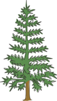 enda kontinuerlig linjeteckning av skönhet och exotisk tall. dekorativ pinus för gratulationskort. skönhet plats semester semester koncept. moderna en rad rita design grafisk vektorillustration png