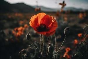 Polly Flower in the Wild Captivating Photography of a Beautiful and Rare Blossom photo