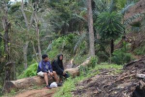 Gorontalo, 5 Feb 2023 - A group of people camping together in nature photo