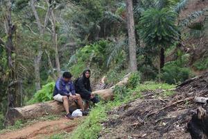 Gorontalo, 5 Feb 2023 - A group of people camping together in nature photo