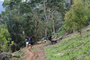 Gorontalo, 5 Feb 2023 - A group of people camping together in nature photo