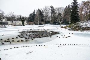 parque lazienki krolewskie en Varsovia Polonia en un Nevado invierno día foto