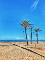 calm seaside landscape of san juan beach in alicante spain on a sunny day photo