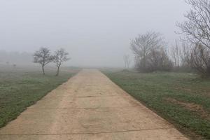 l calma paisaje con la carretera en brumoso gris inviernos día foto