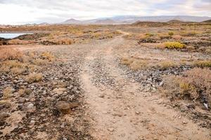 Scenic road view photo