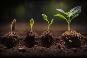 plántulas creciente desde el suelo , germinando semillas de varios , creciente plantas y agricultura concepto. generar ai foto