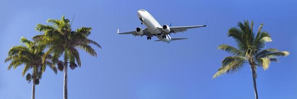 Airliner passing over palm trees before landing photo