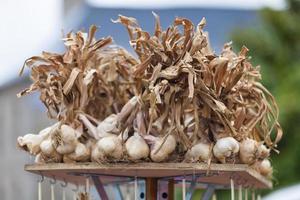 Stack of garlics on a market stall photo