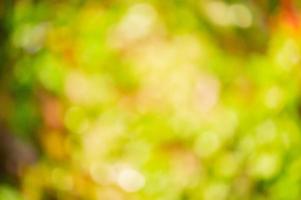 Abstract defocus light natural background. Bokeh leaves on a sunny day. photo