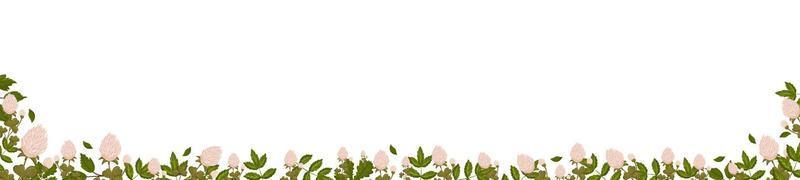 Spring horizontal border with clover flowers, shamrock and leaves. Summer vector banner