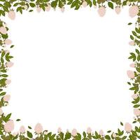 Spring square frame with clover flowers, shamrock and leaves. Summer vector border