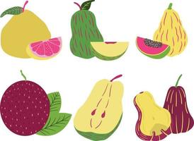 Fruits set icon. Pears, pears, kiwi, guava, mango, pear. Vector illustration