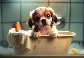 Cute puppy dog in bathtub , pets cleaning, studio shot. Generate Ai. photo