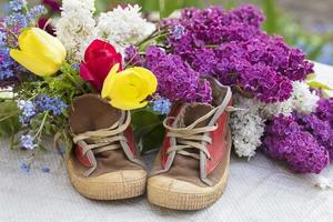 A bouquet of flowers in old shoes. Lilac tulips grow out of sneakers. Spring flower background. photo