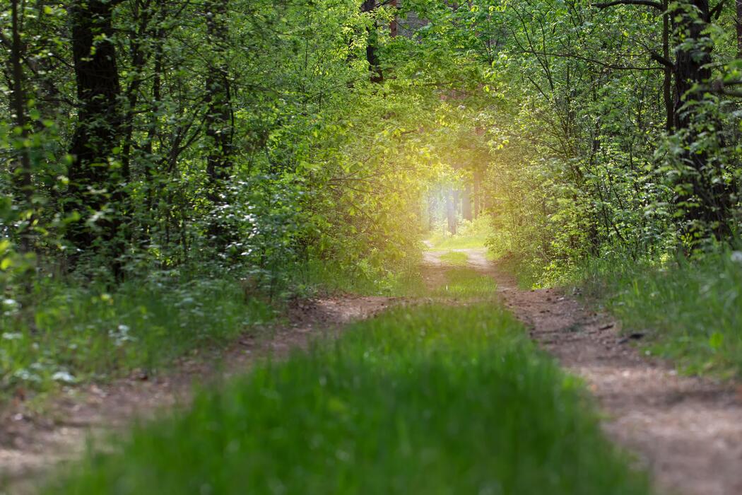 Spiritual Path Stock Photos, Images and Backgrounds for Free Download