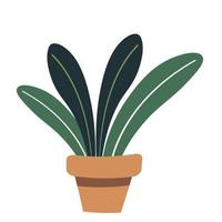 painted tropical leaves vector