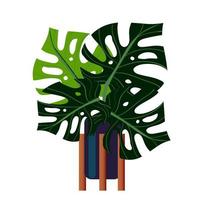 painted tropical leaves vector