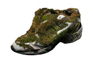 Old sneakers covered with moss on a white background. photo