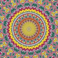 A colorful mandala with a pattern vector