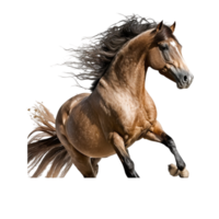 cavallo animale realistico bianca sfondo trasparente png