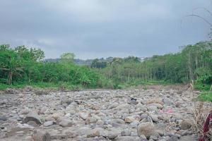 River side with river stone and green ambush when late afternoon. The photo is suitable to use for climate changes poster and nature background.