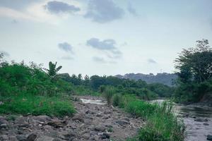 River side with river stone and green ambush when late afternoon. The photo is suitable to use for climate changes poster and nature background.