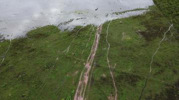 vista aérea de los pastos verdes afectados por las inundaciones de la temporada de lluvias. vista superior del río que fluye después de fuertes lluvias e inundaciones de campos o pastoreo en zonas rurales. concepto de cambio climático. video