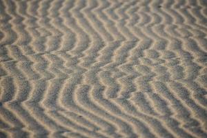 Waves in the sand photo