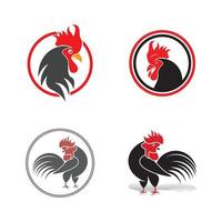 Rooster logo icon vector and symbol template