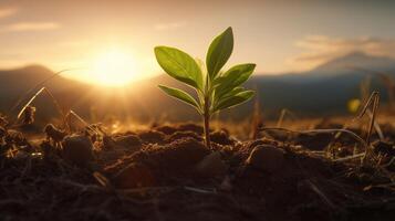 , Young plant Growing In sunlight from the ground, macro photorealistic illustration, agricultural vegetable. Nature organic healthy farm food concept, horizontal banner. photo