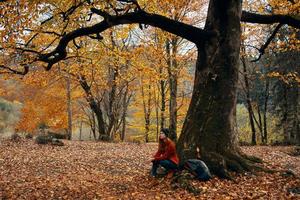 woman hiker travel forest autumn walk active leisure photo