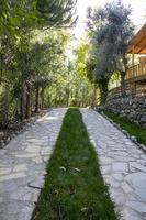 jardín camino con verde césped y arboles en un soleado día. Roca pasarela en el parque con arboles en el antecedentes. Roca pasarela en el jardín de un país casa. foto