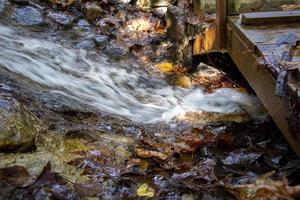 cascada en el otoño bosque con caído hojas en el rocas pequeño cascada en el bosque. montaña paisaje. foto