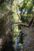 Wooden stairs in the forest, landscape as a background. Wooden stairs to the waterfall in the forest. photo