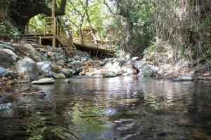 de madera puente terminado el río en el bosque, hermosa paisaje foto