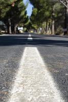 Asphalt road with trees in the background. Asphalt road through the pine forest in. Close-up of a white line on the asphalt photo