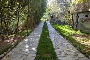 jardín camino con verde césped y arboles en un soleado día. Roca pasarela en el parque con arboles en el antecedentes. Roca pasarela en el jardín de un país casa. foto