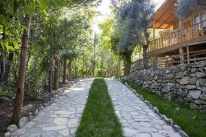 jardín camino con verde césped y arboles en un soleado día. Roca pasarela en el parque con arboles en el antecedentes. Roca pasarela en el jardín de un país casa. foto