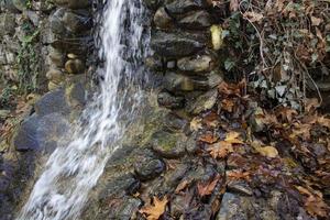 Waterfall in the autumn forest with fallen leaves on the rocks. Small waterfall in the forest. Mountain landscape. photo