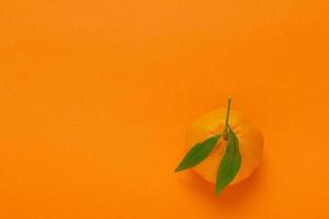 Mandarin on orange background for idea minimalism photo