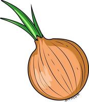 onion isolated on white background vector