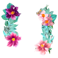 acquerello fiore carino colore pastello png