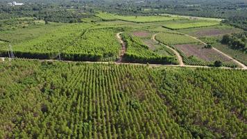 aéreo Visão do escavadeiras estão trabalhando em a fundações do alta voltagem postes e a pernas do alta voltagem pólos. topo Visão do construção do poder linhas dentro a floresta video