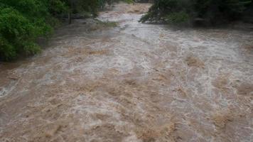 Waterfall cataract in forest mountains. Dirty streams are flowing down the mountain slopes of the mountain forest after heavy rains in Thailand. River flood, selective focus video