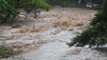 cascata cataratta nel foresta montagne. sporco flussi siamo fluente giù il montagna versante di il montagna foresta dopo pesante piove nel Tailandia. fiume alluvione, selettivo messa a fuoco. video