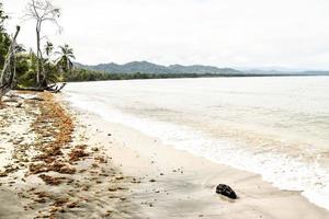 Scenic coastal view photo