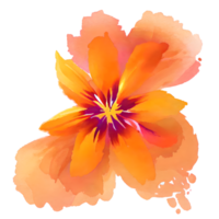 watercolor flower cute color pastel,, png