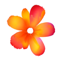 acquerello fiore carino colore pastello png