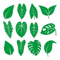 Set of various and cute of green leaves isolated on white background vector