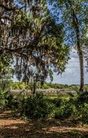 Sunny day at a park in Florida photo